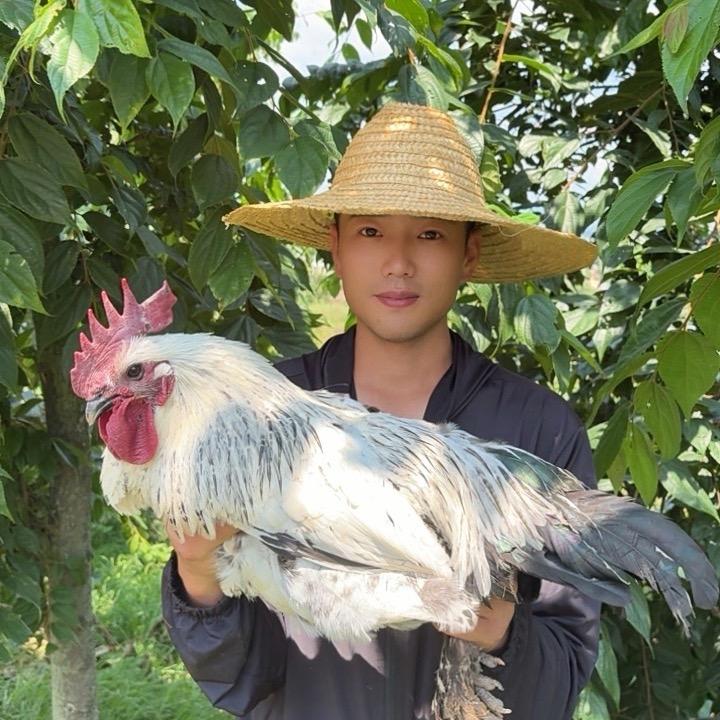 吕品土货馆