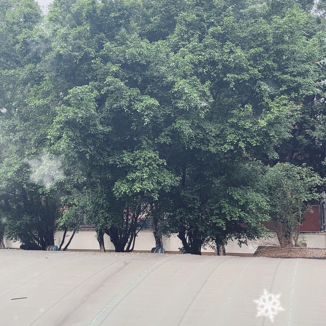 属狗的