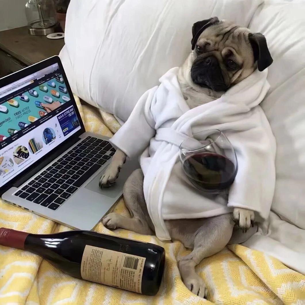 梦醒、一切成空