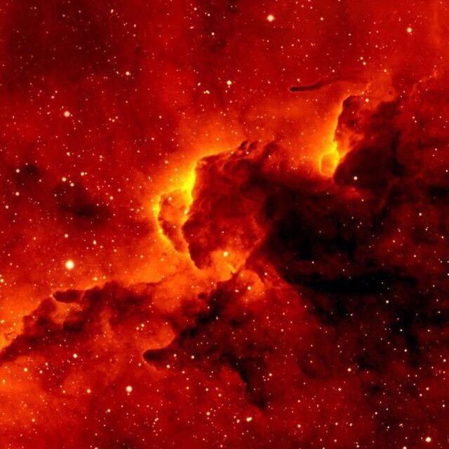 全季酒店推荐官