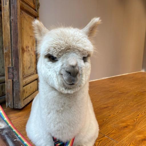 单机游戏爱好者steam