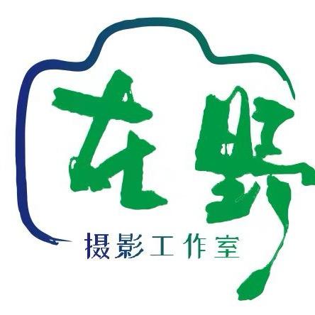 阳朔在野摄影工作室官方号