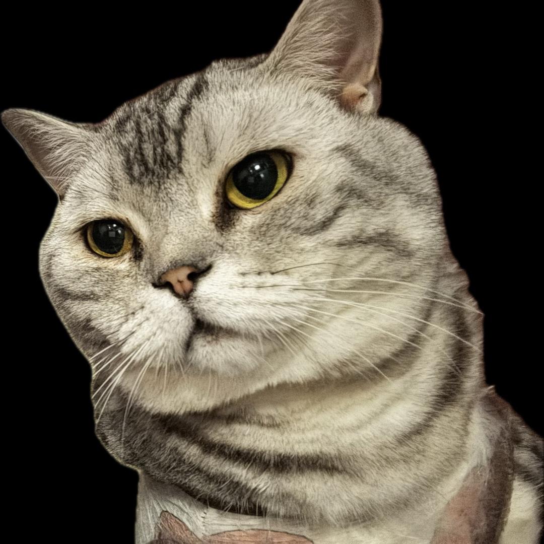 诗锦