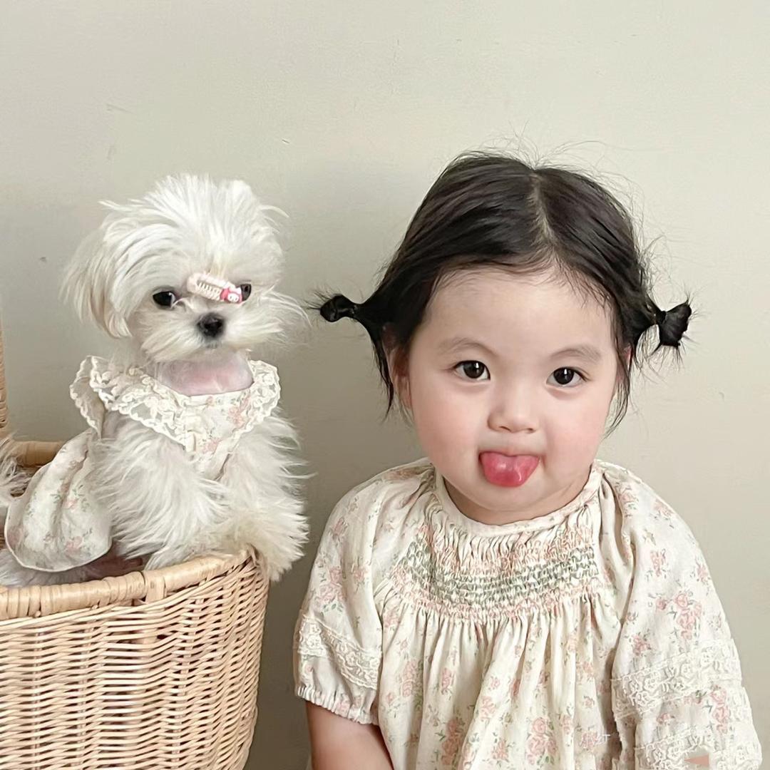 肚肚