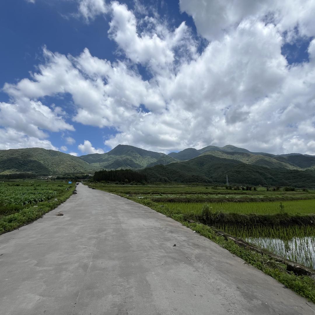 林栖集（小李淘山货）