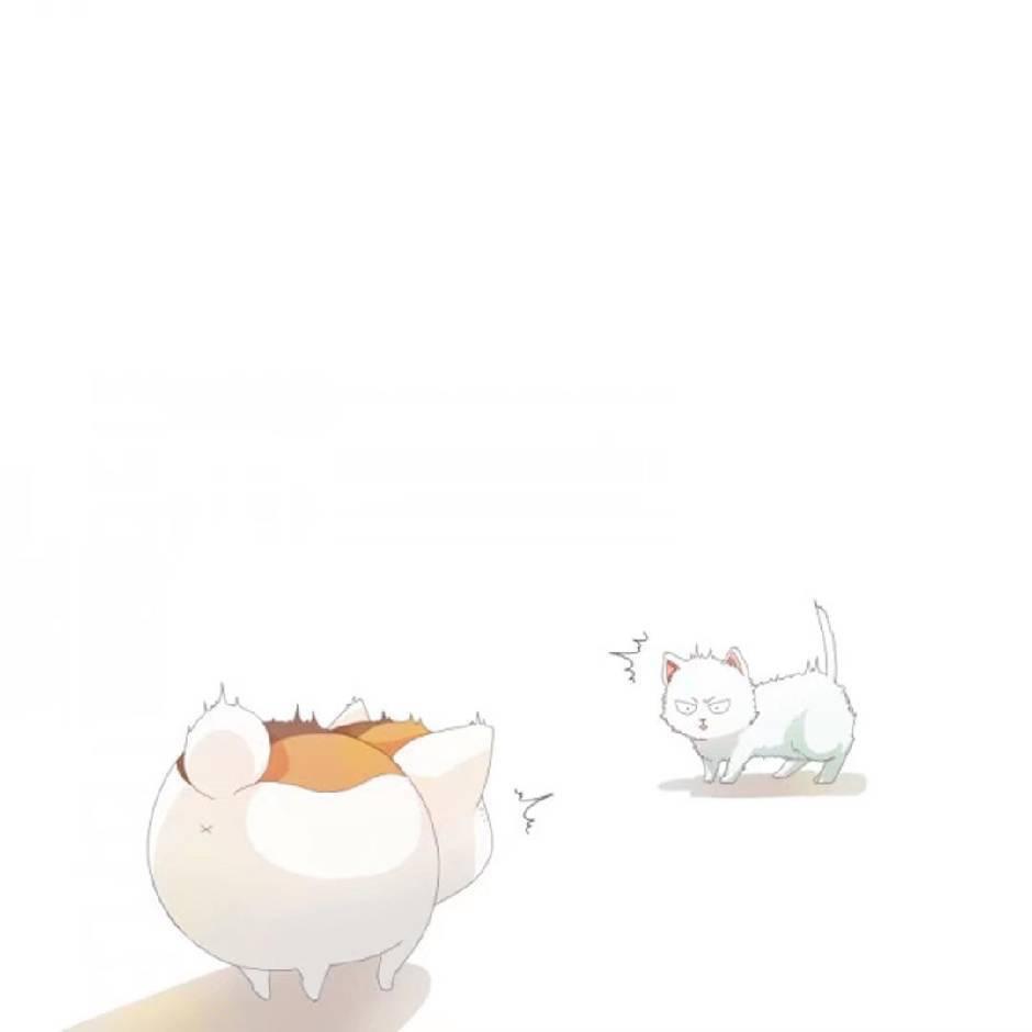 李飞