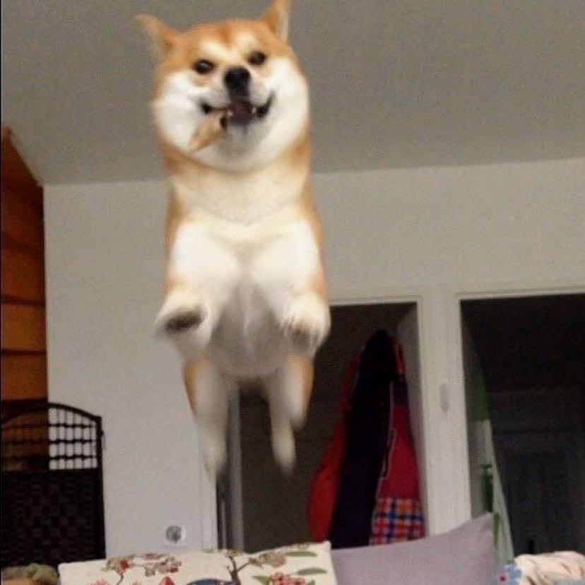 想睡觉