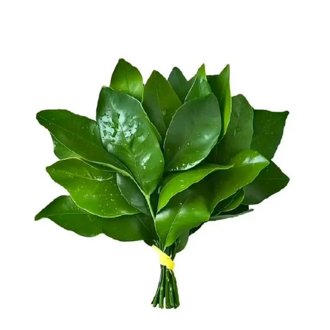 睡不醒🧚‍♀️