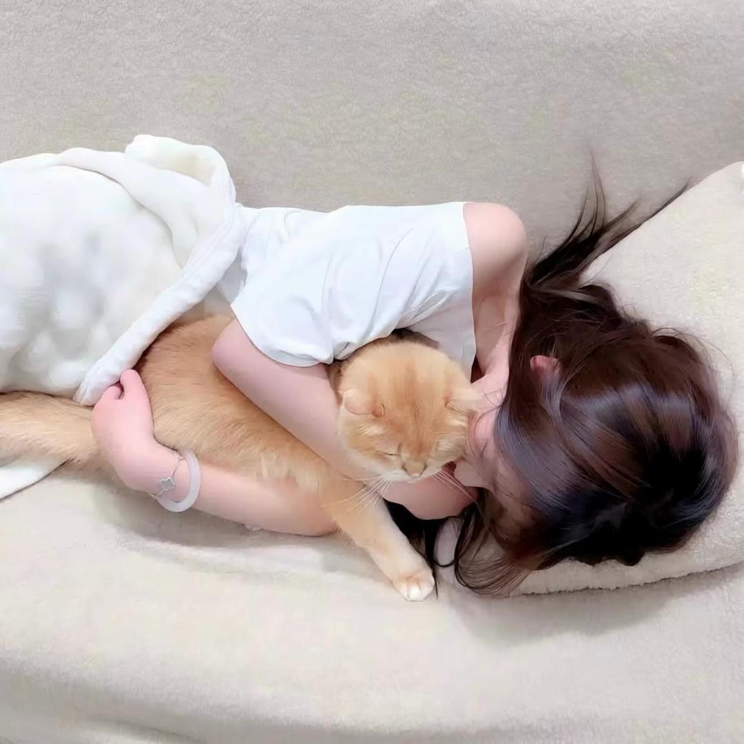 bb