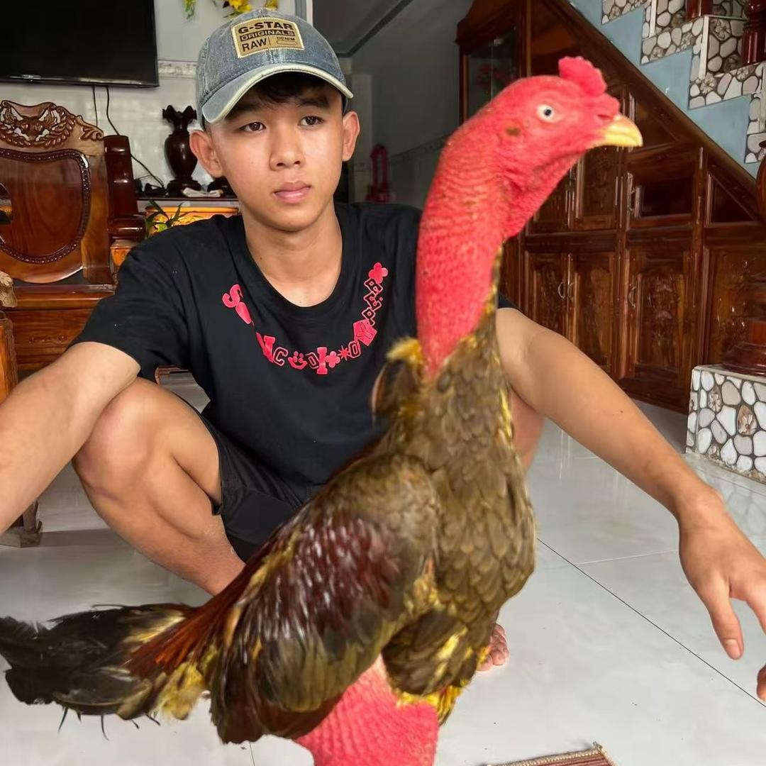 俊生后台服务号