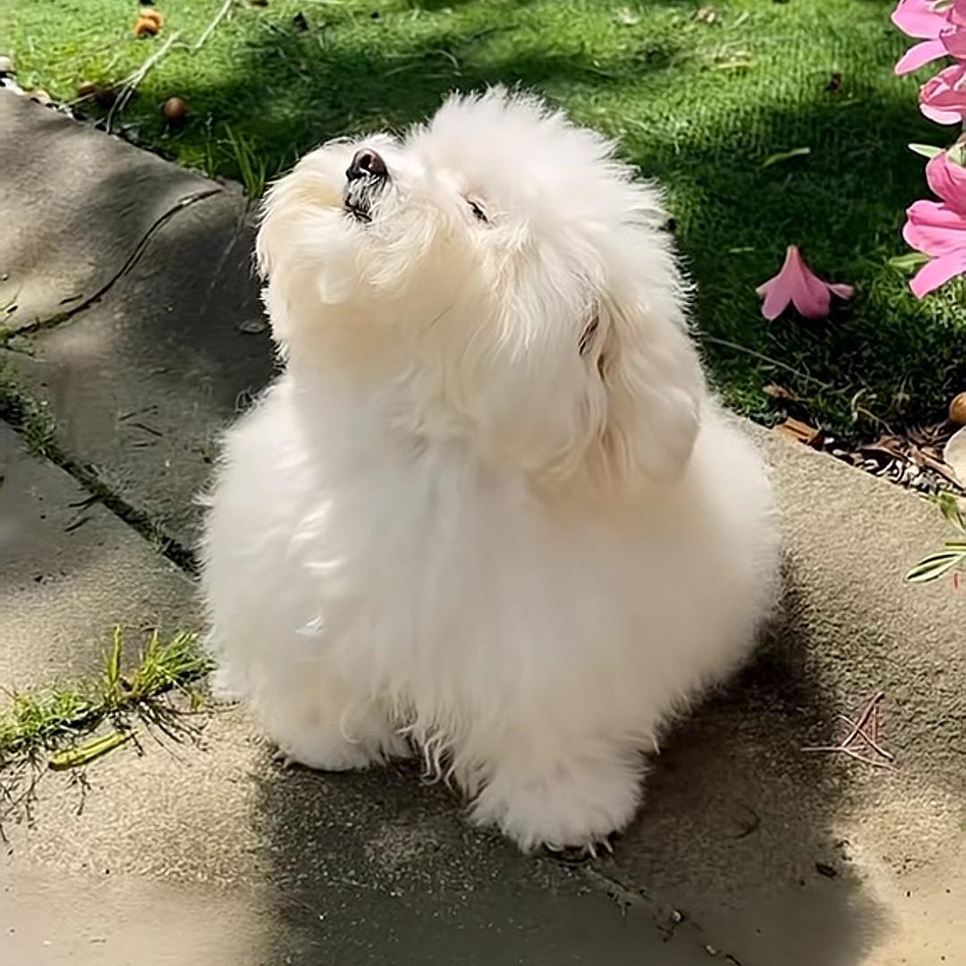 ☘️🍀🌿🌳¹¹¹⁸