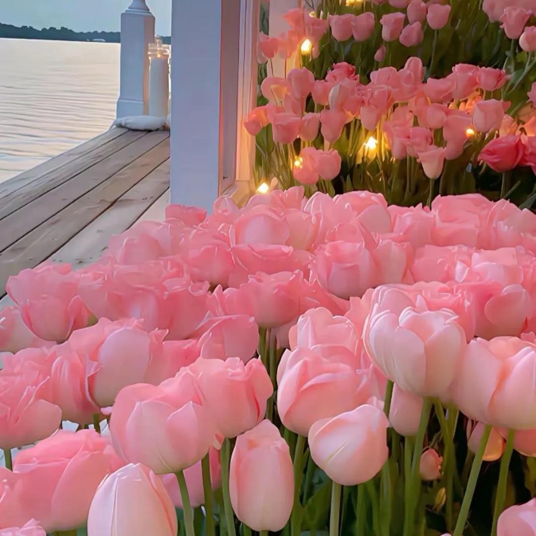 ྀ💕曾经💕的梦💕