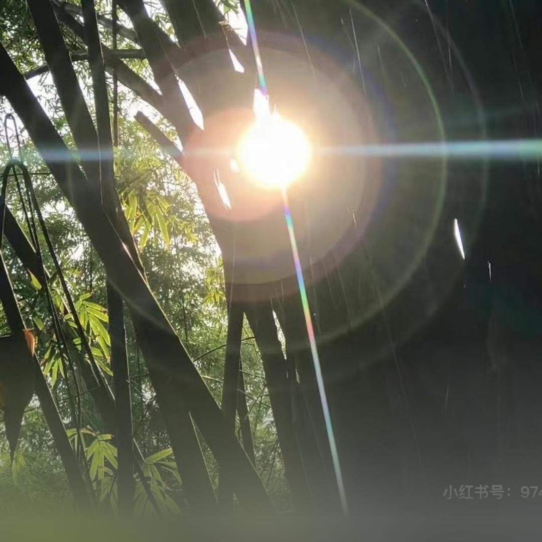 植鹿与龟