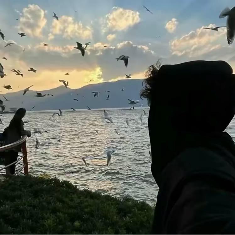云南深情哥