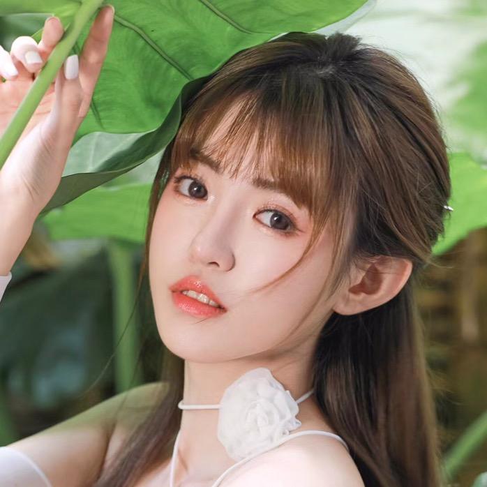 小燕子好物