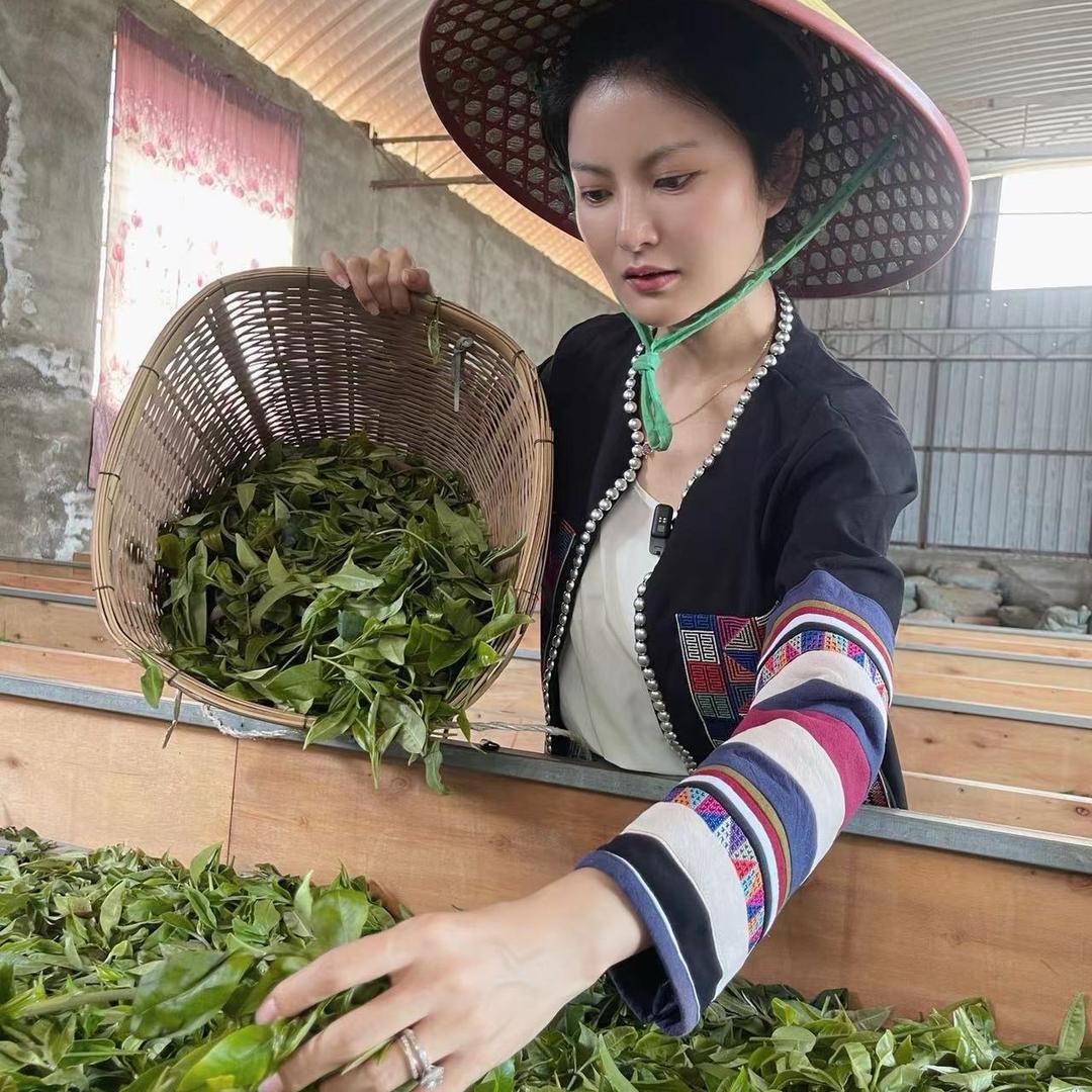 竹圣堂-丹丹普洱茶