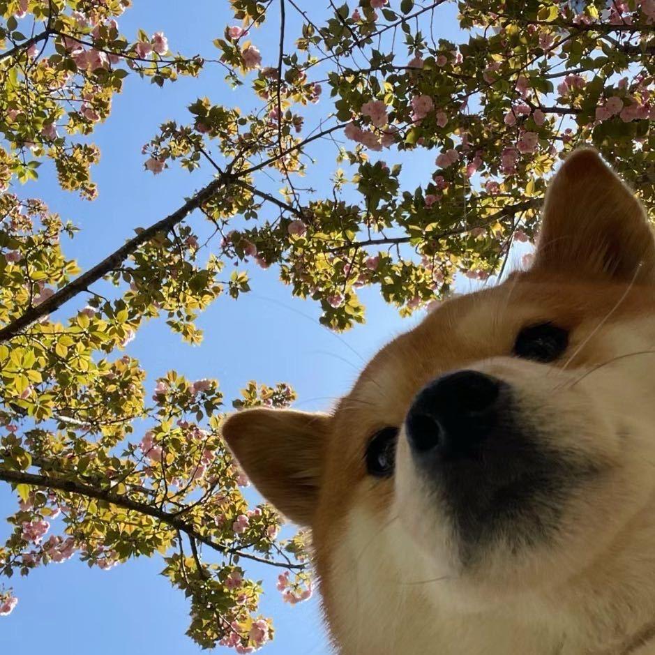 🧌