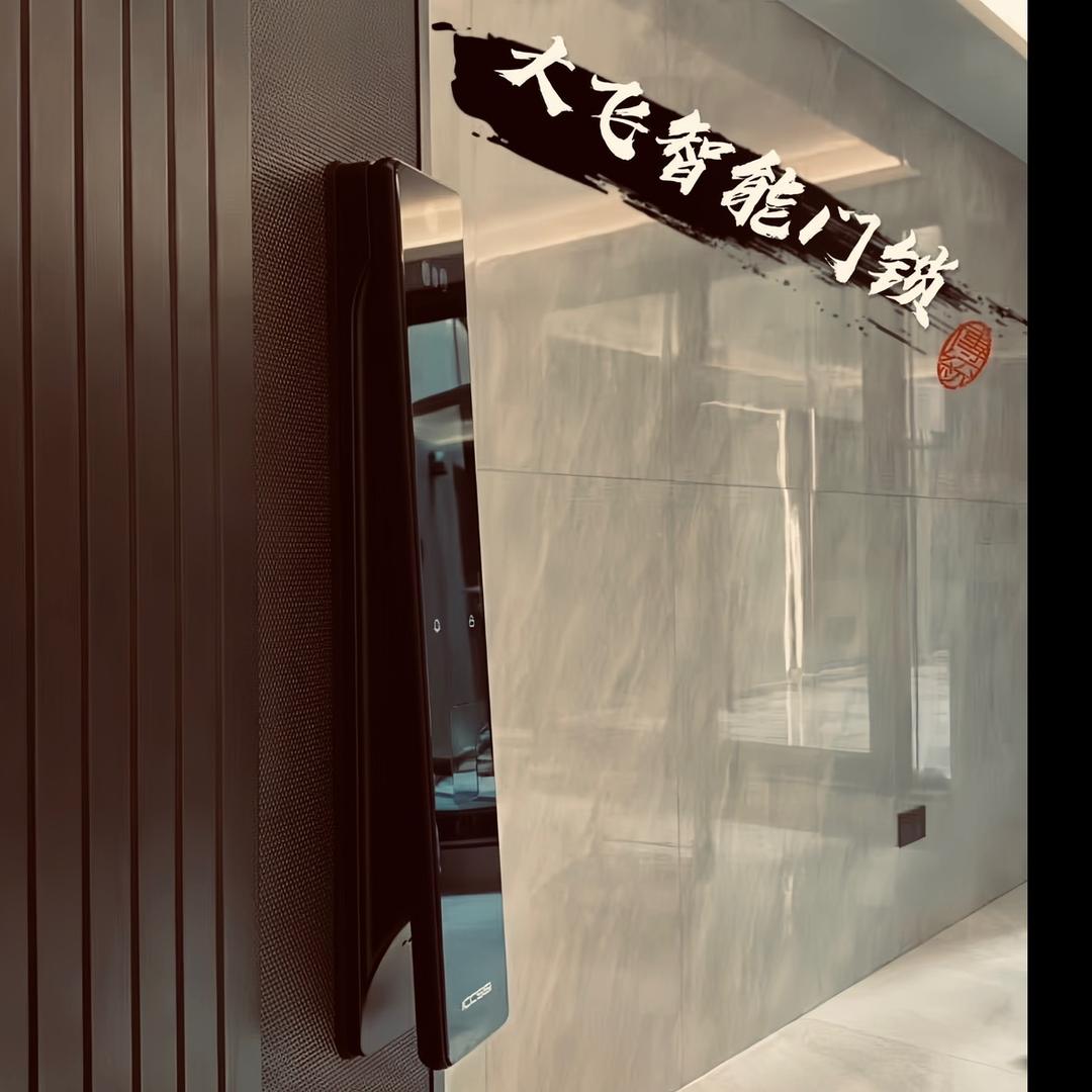 合肥大飞智能门锁