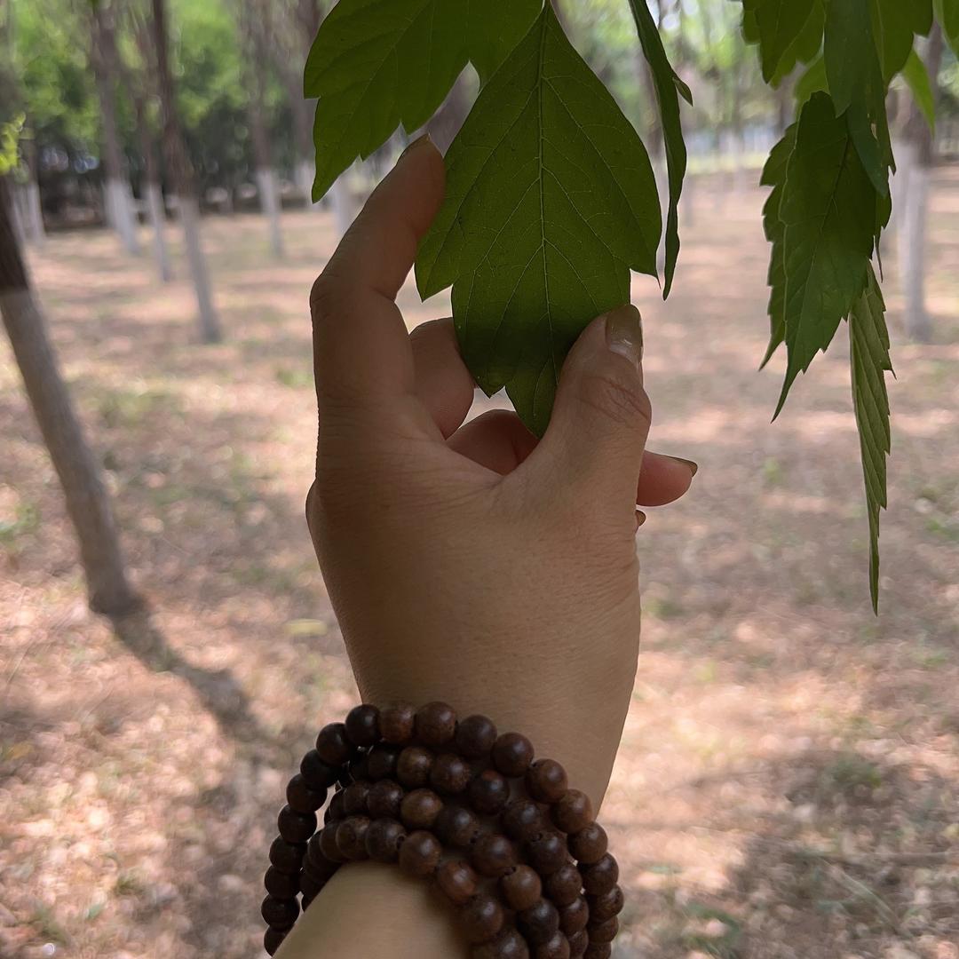 柳岸花明8⃣️
