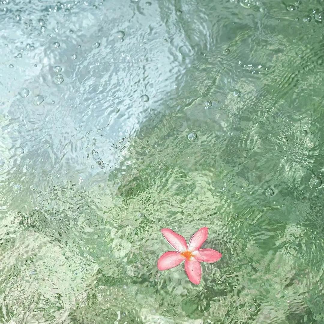 暖🍀