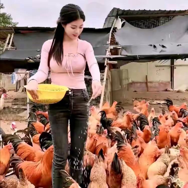 铁柱家养殖