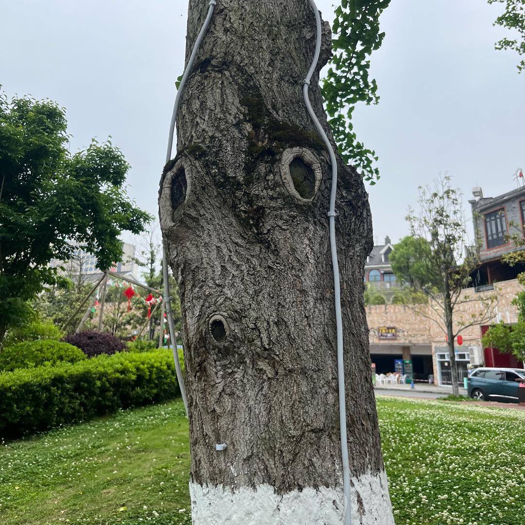 @ 起晚就不想看书（奋斗版）