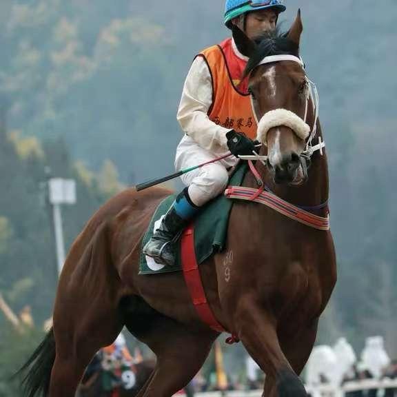 水鏃赛马小石头