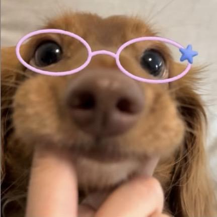 _妳的肖
