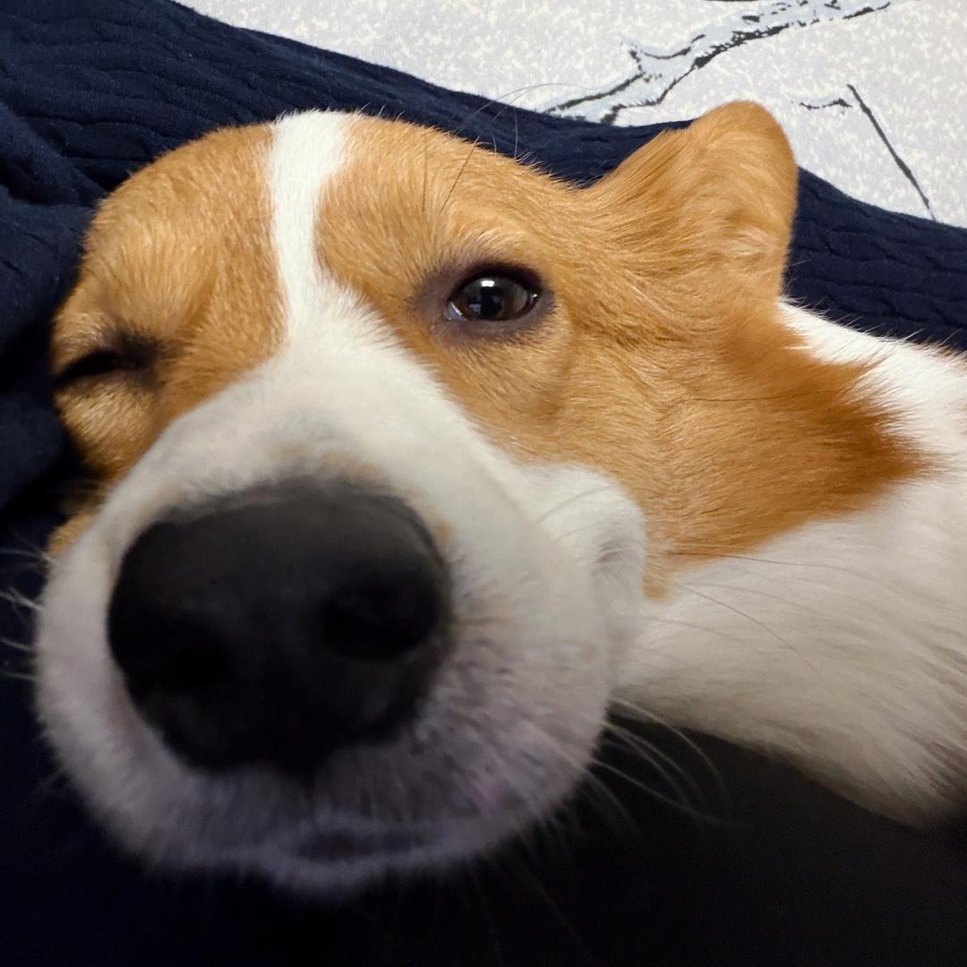 破坏大王粉碎基