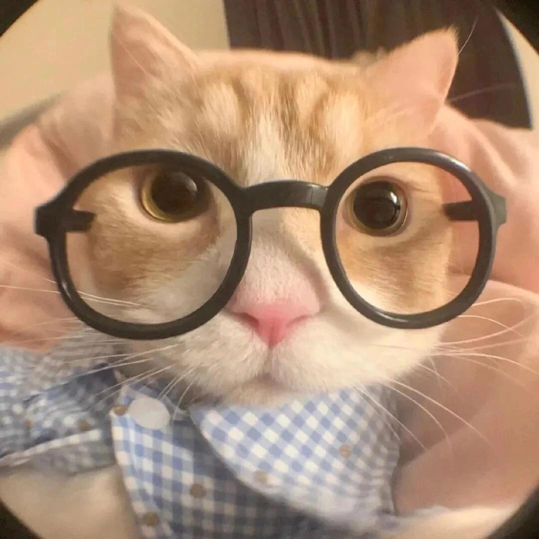 bibop（努力学习版）