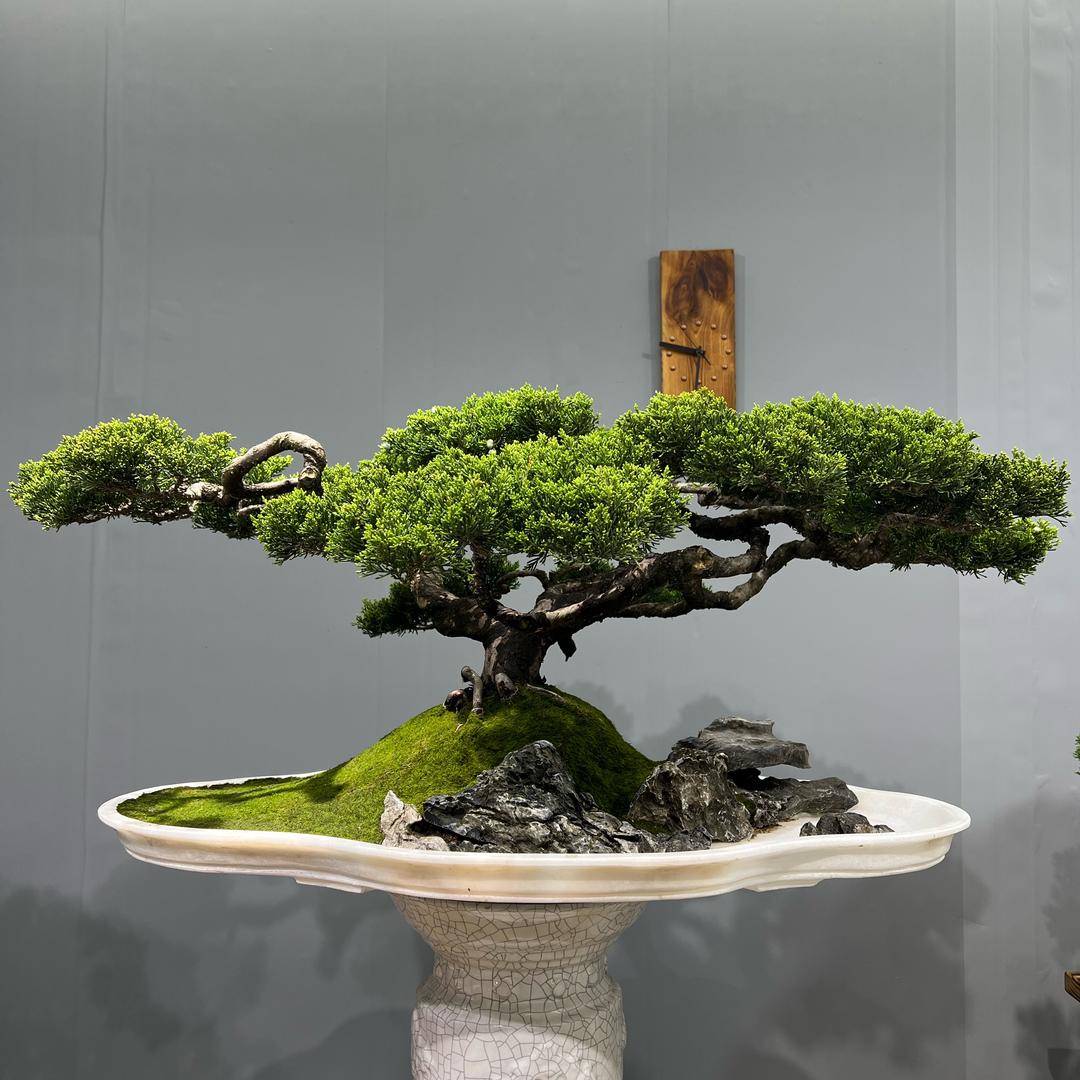 京人花卉