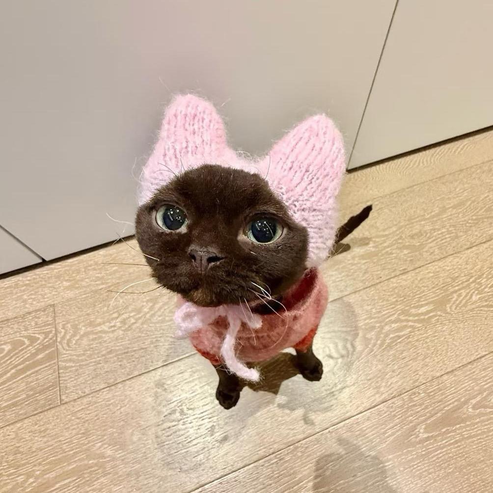 章小鱼