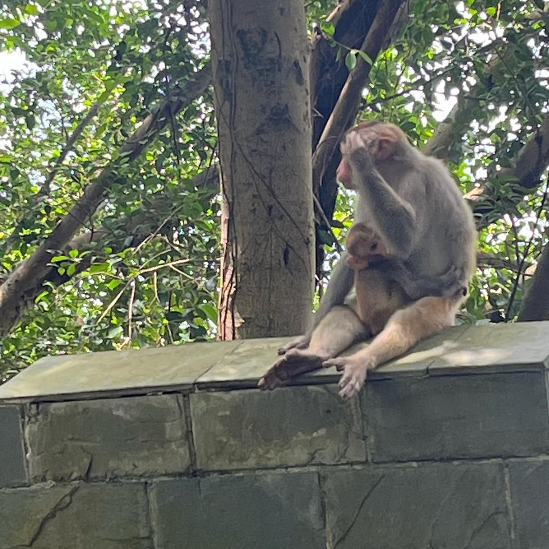 瑶想当年