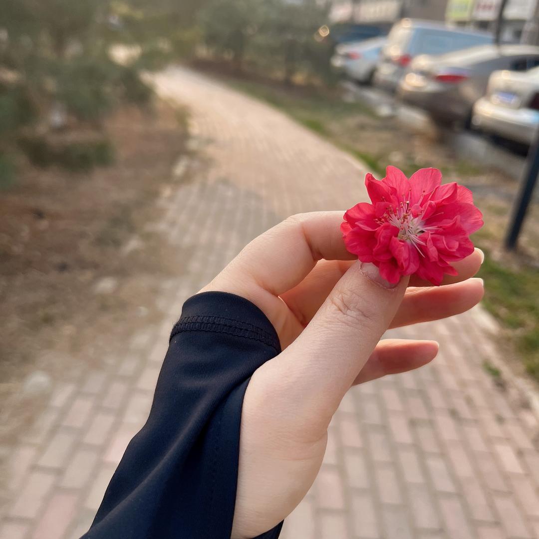 潘多拉🍀魔盒
