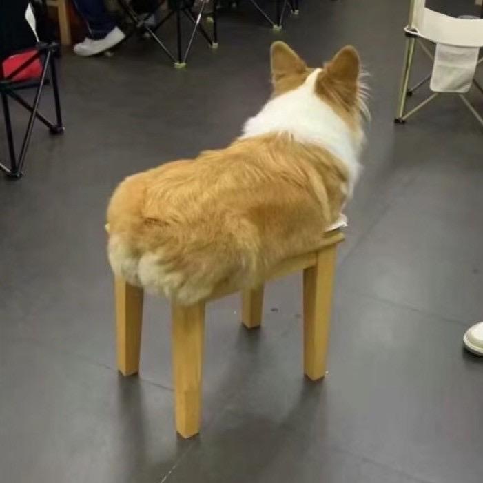 涵哈哈爱笑