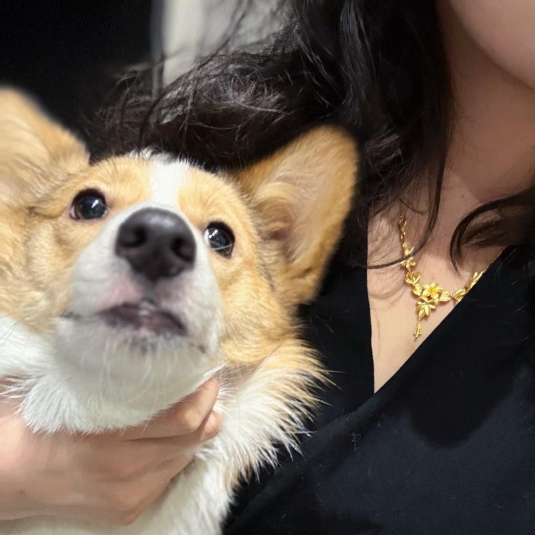 你的庄姨💋