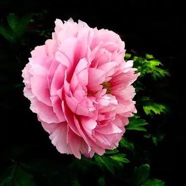 考场唱情歌-有关必回