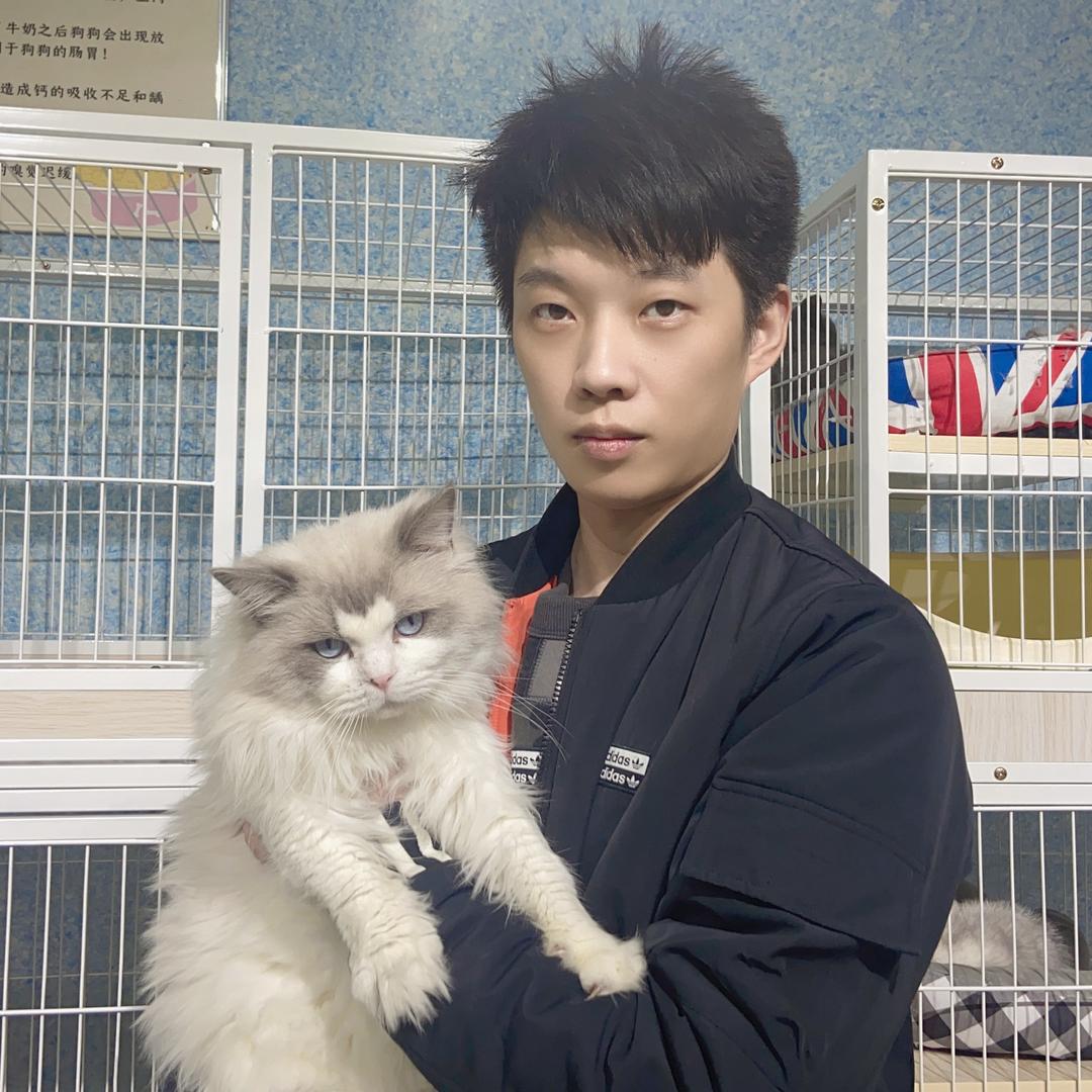 意诚宠物