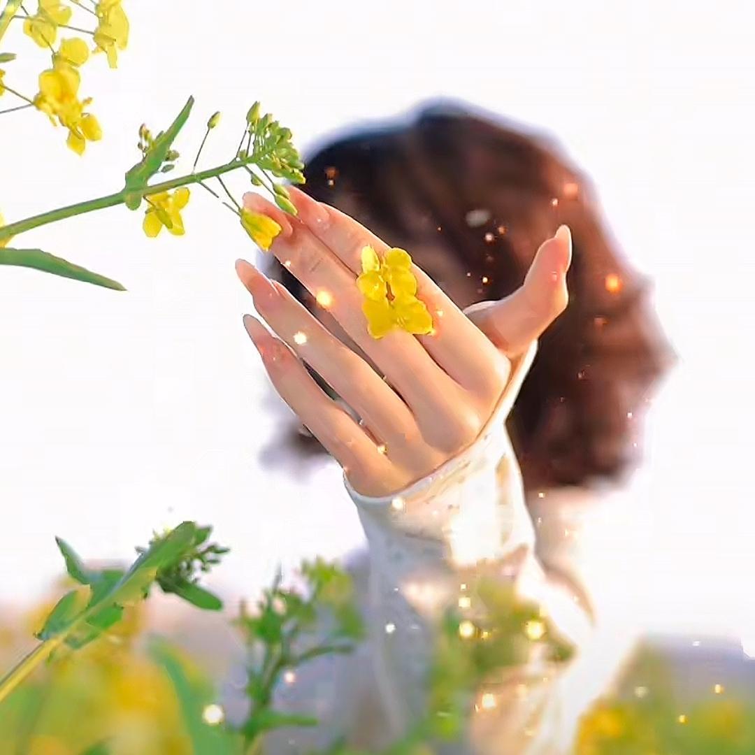 静姐🌻