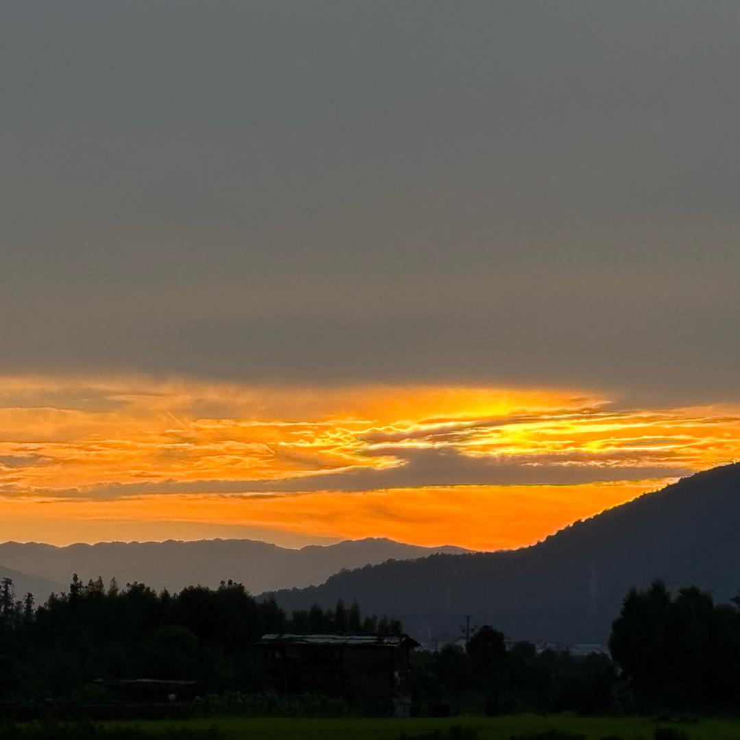 滇西百草源（邹叁生鲜）