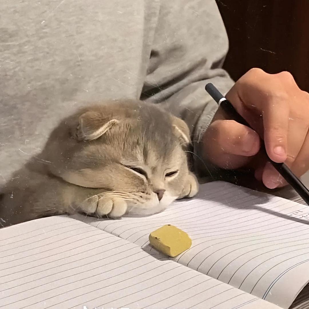.头像