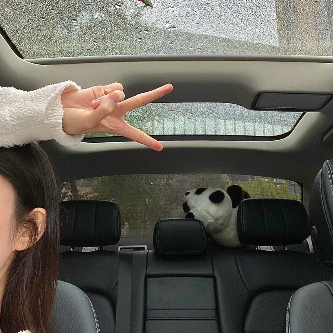 雪碧妹妹er 🐾