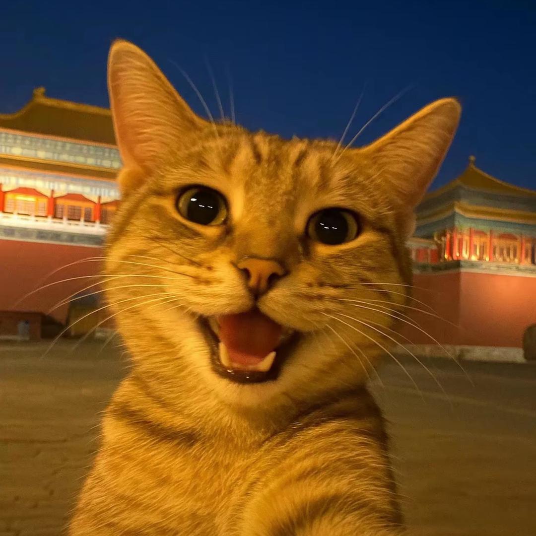 北北