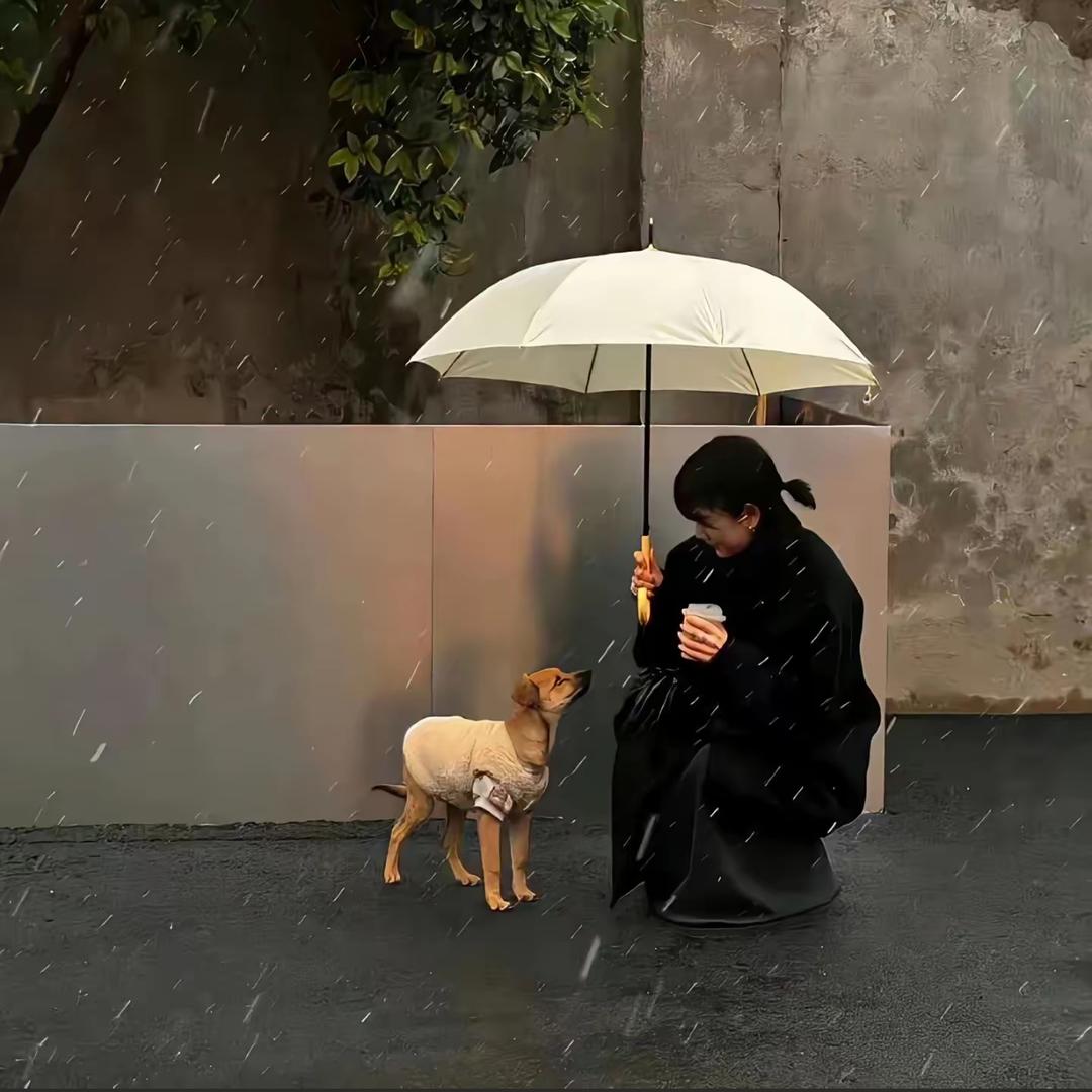 藜.
