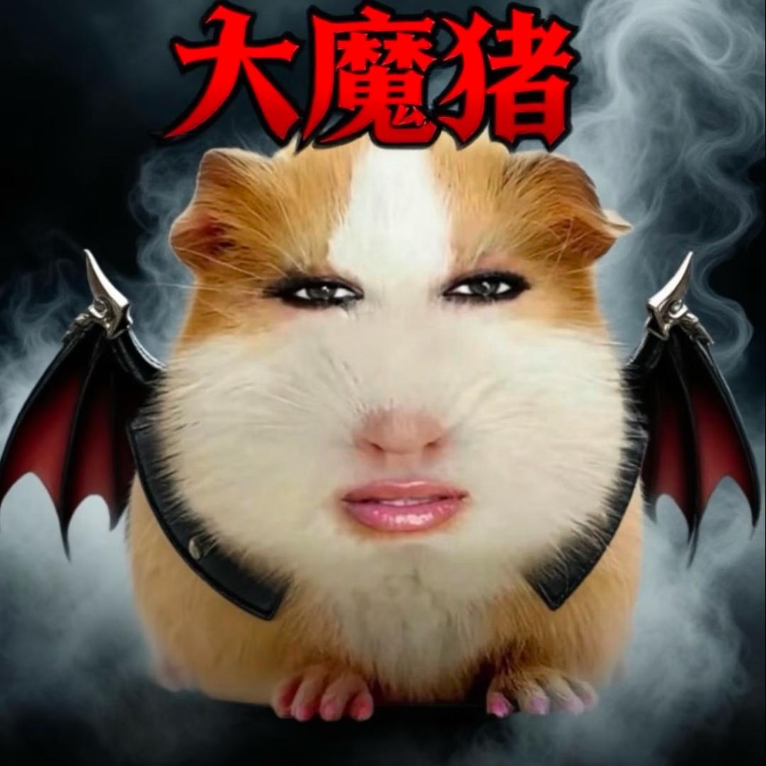 勇敢的猪皮🐽