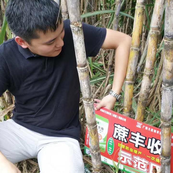邓振林