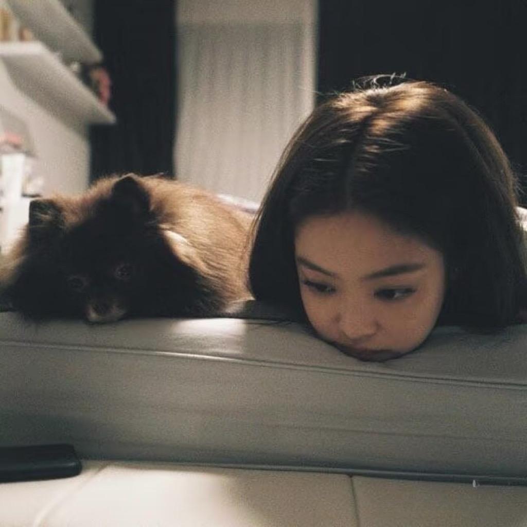 治愈🐯