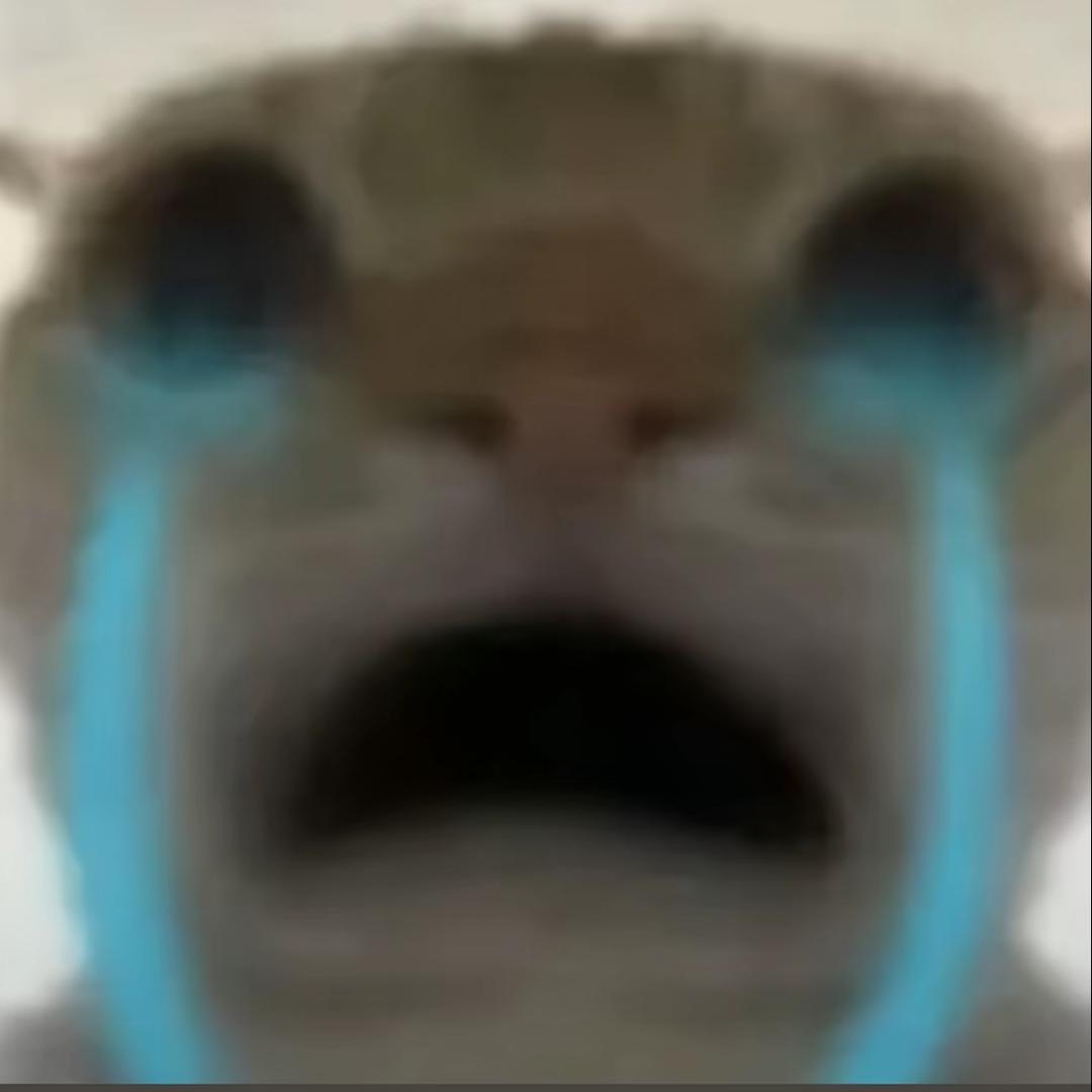董