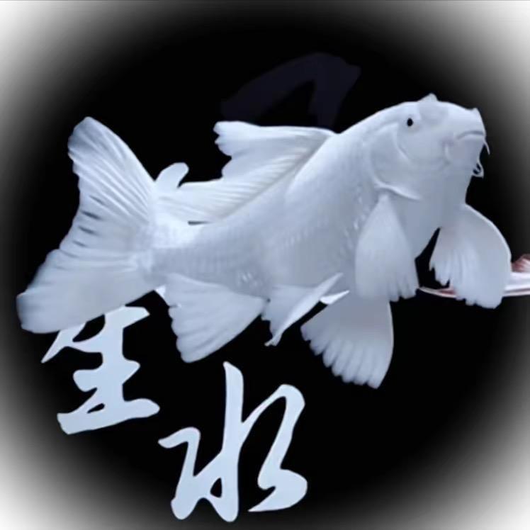 林林 观赏鱼 渔场直销