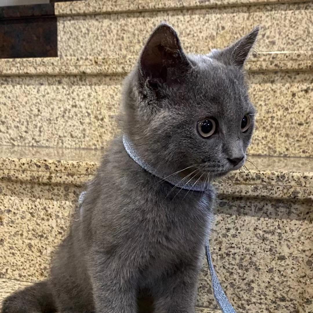 王哪跑🐀